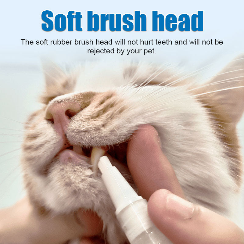 Stylo brosse à dents pour animaux domestiques